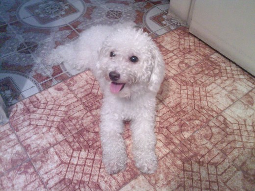 damita lengua afuera con 4 mese